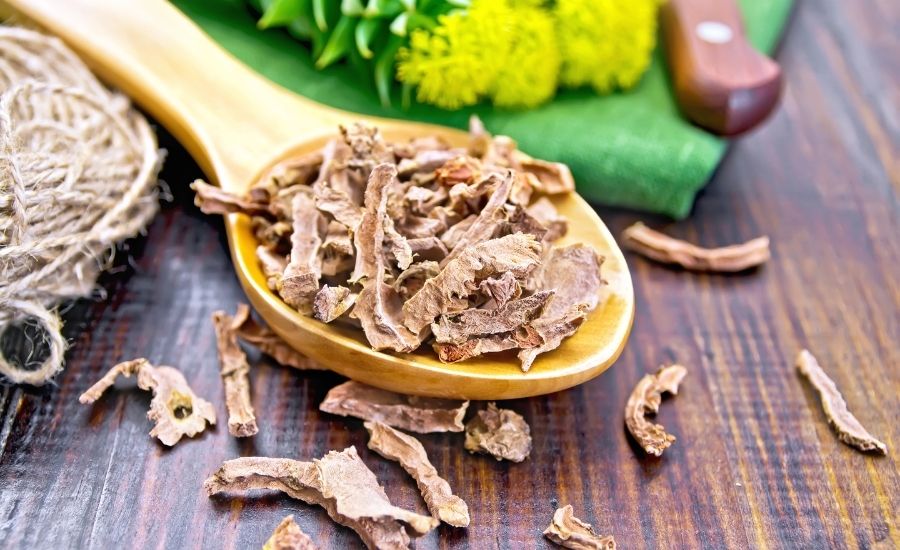 Quand et comment prendre la Rhodiola contre la fatigue et le stress ?