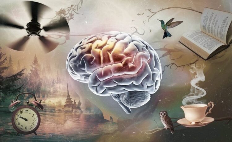 shuffle cognitif : fonctionnement, avis et exemples concrets