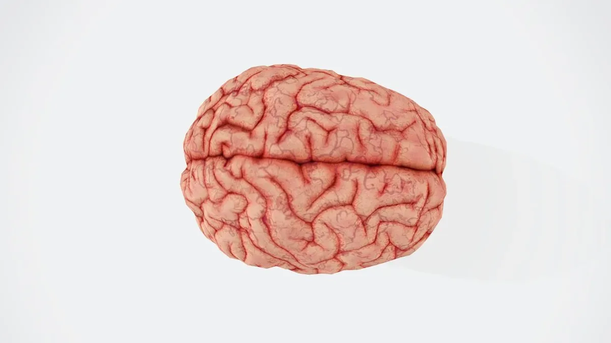 mon cerveau ne veut plus dormir — Mon cerveau ne veut plus dormir : définition, effets et limites